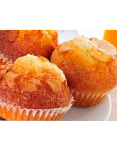 MAGDALENAS 4-J CASERAS GRANDES 9 UND 600